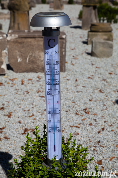 Wakacje Zazie i Syd z mopsami Kumokiem i Miszurem 2012 w Pałacu Wiechlice