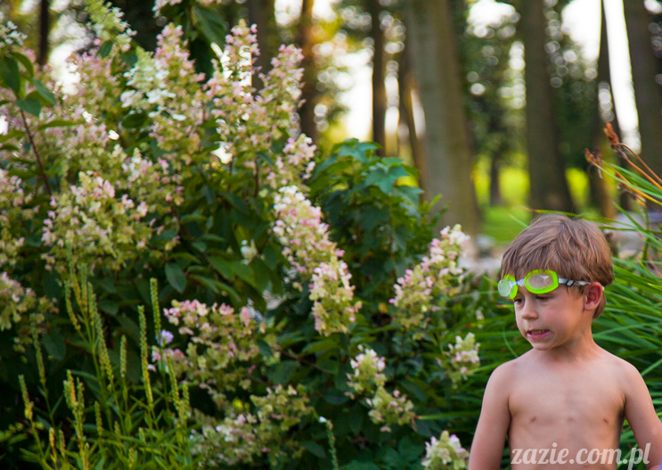 Wakacje Zazie i Syd z mopsami Kumokiem i Miszurem 2012 w Pałacu Wiechlice