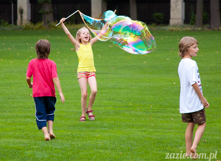 Wakacje Zazie i Syd z mopsami Kumokiem i Miszurem 2012 w Pałacu Wiechlice