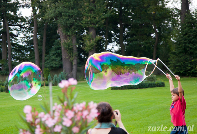 Wakacje Zazie i Syd z mopsami Kumokiem i Miszurem 2012 w Pałacu Wiechlice