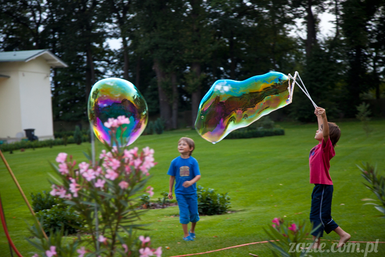 Wakacje Zazie i Syd z mopsami Kumokiem i Miszurem 2012 w Pałacu Wiechlice