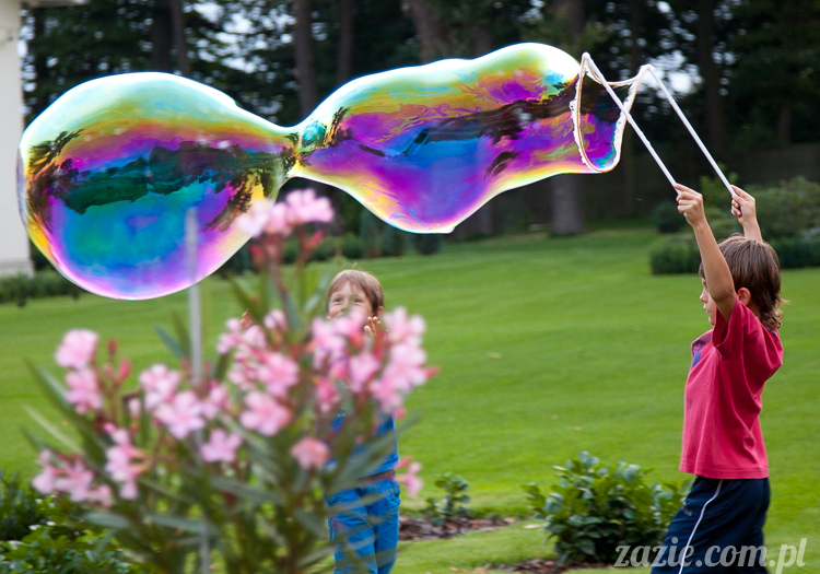 Wakacje Zazie i Syd z mopsami Kumokiem i Miszurem 2012 w Pałacu Wiechlice