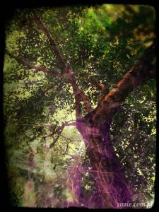 move in the right direction