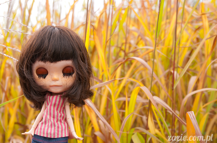 Blythe Simply Chocolate custom by Zazie Rarka Orka i Dzidzia Buu z rodziny Kaziu De Bubu