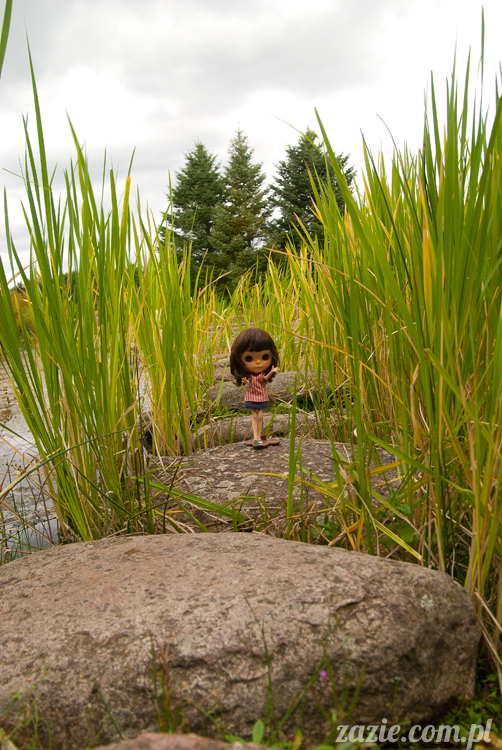 Blythe Simply Chocolate custom by Zazie Rarka Orka i Dzidzia Buu z rodziny Kaziu De Bubu