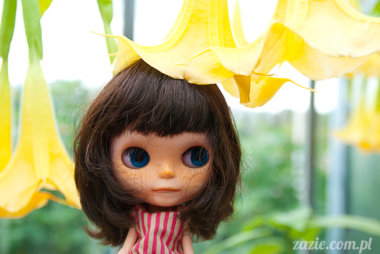 Blythe Simply Chocolate custom by Zazie Rarka Orka i Dzidzia Buu z rodziny Kaziu De Bubu