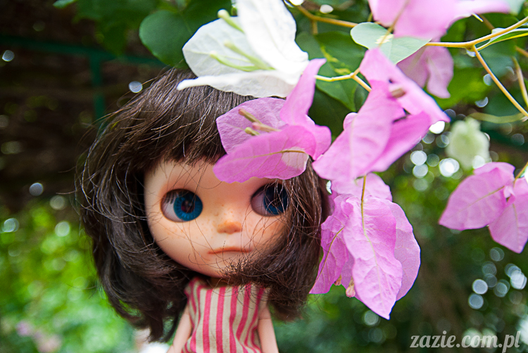 Blythe Simply Chocolate custom by Zazie Rarka Orka i Dzidzia Buu z rodziny Kaziu De Bubu