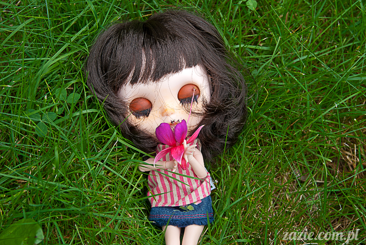 Blythe Simply Chocolate custom by Zazie Rarka Orka i Dzidzia Buu z rodziny Kaziu De Bubu