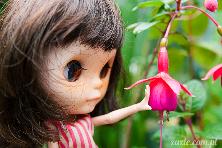 Blythe Simply Chocolate custom by Zazie Rarka Orka i Dzidzia Buu z rodziny Kaziu De Bubu