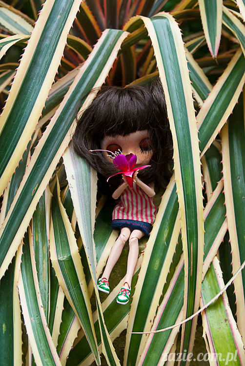 Blythe Simply Chocolate custom by Zazie Rarka Orka i Dzidzia Buu z rodziny Kaziu De Bubu