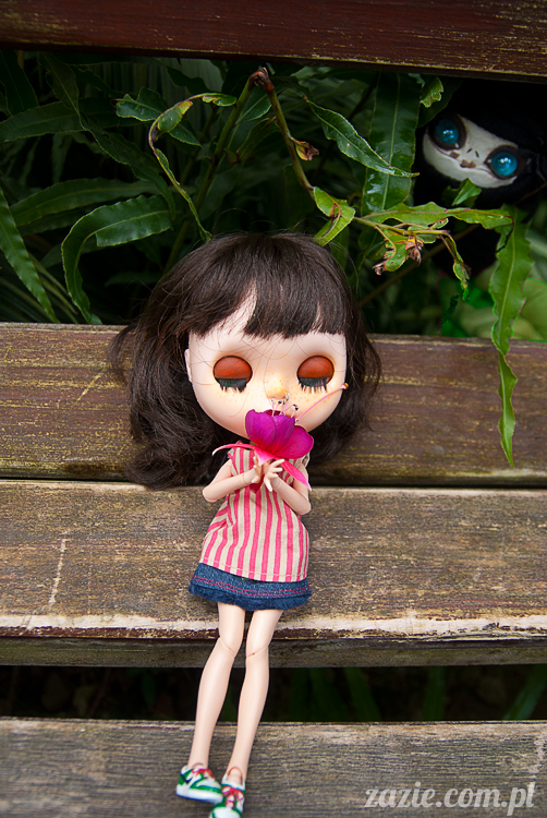 Blythe Simply Chocolate custom by Zazie Rarka Orka i Dzidzia Buu z rodziny Kaziu De Bubu