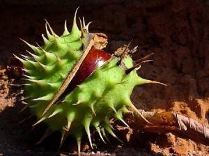 jedyny niepodważalny i ostateczny argument