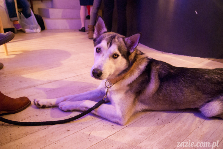 Posłaniec Uczuć Stara Ochota