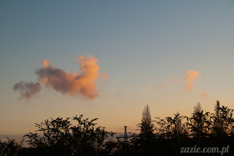 lalka Blythe, Blythe doll, custom Blythe by Zazie