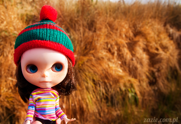 lalka Blythe doll Orka custom by Zazie, South Wales, Brecon Beacon, Gwaun Hepste