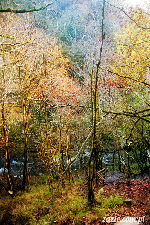 lalka Blythe doll Orka custom by Zazie, South Wales, Brecon Beacon, Gwaun Hepste