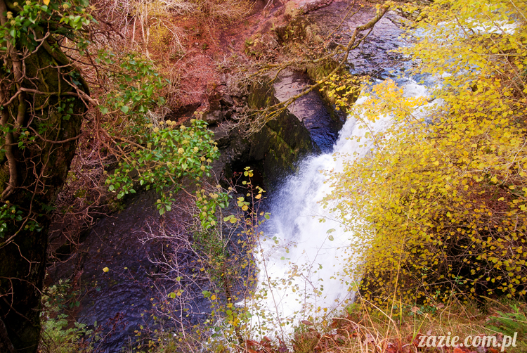 lalka Blythe doll Orka custom by Zazie, South Wales, Brecon Beacon, Gwaun Hepste
