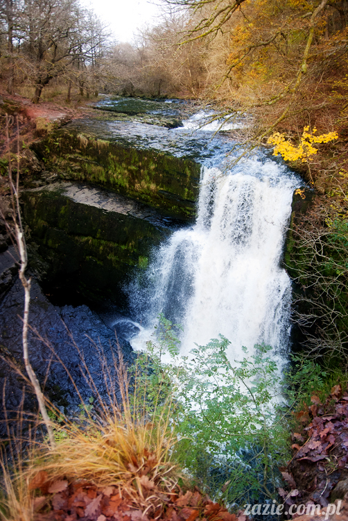 lalka Blythe doll Orka custom by Zazie, South Wales, Brecon Beacon, Gwaun Hepste