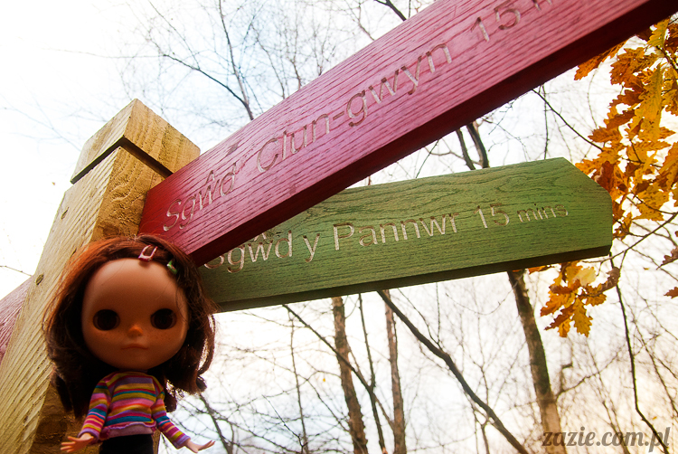 lalka Blythe doll Orka custom by Zazie, South Wales, Brecon Beacon, Gwaun Hepste