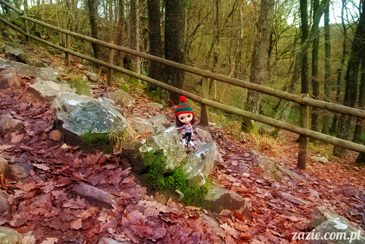 lalka Blythe doll Orka custom by Zazie, South Wales, Brecon Beacon, Gwaun Hepste