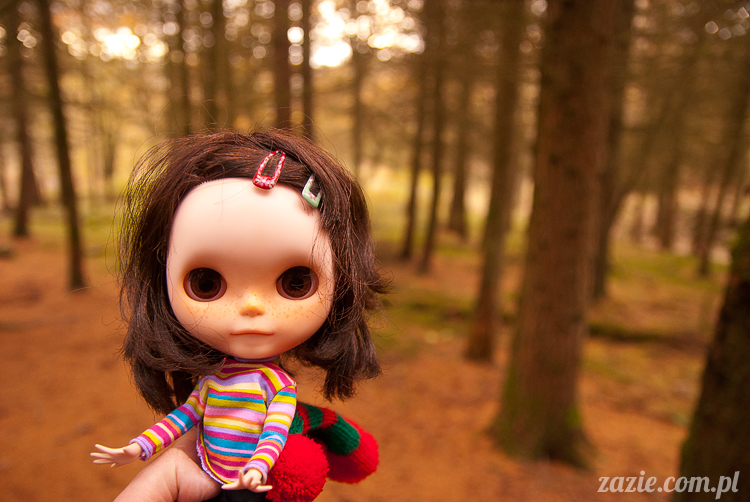 lalka Blythe doll Orka custom by Zazie, South Wales, Brecon Beacon, Gwaun Hepste