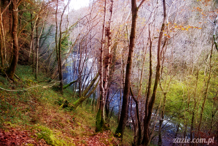 lalka Blythe doll Orka custom by Zazie, South Wales, Brecon Beacon, Gwaun Hepste