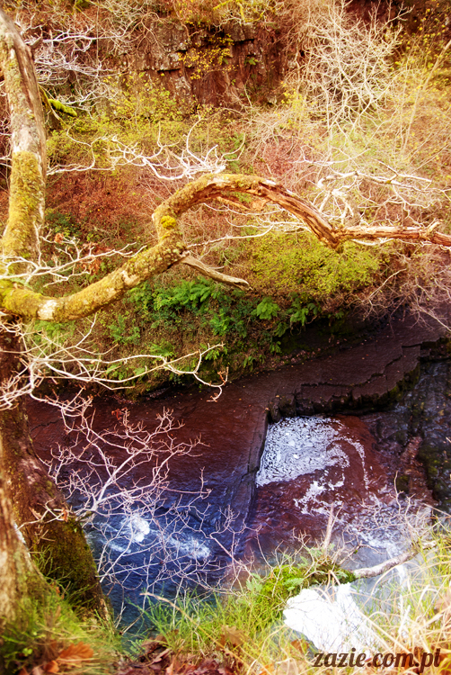 lalka Blythe doll Orka custom by Zazie, South Wales, Brecon Beacon, Gwaun Hepste