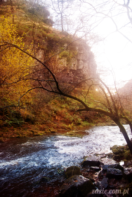 lalka Blythe doll Orka custom by Zazie, South Wales, Brecon Beacon, Gwaun Hepste
