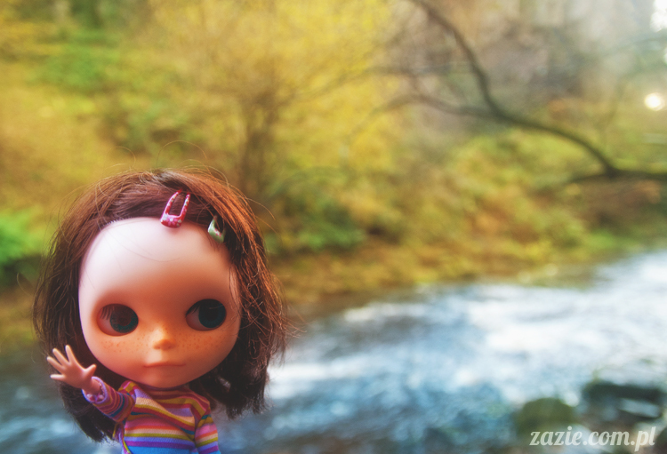 lalka Blythe doll Orka custom by Zazie, South Wales, Brecon Beacon, Gwaun Hepste