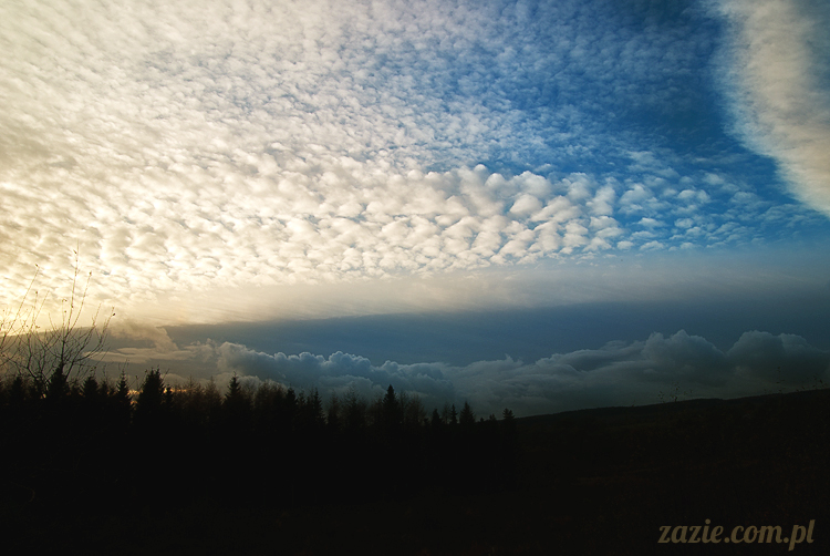 lalka Blythe doll Orka custom by Zazie, South Wales, Brecon Beacon, Gwaun Hepste
