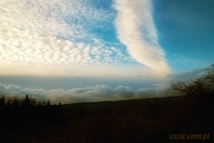 lalka Blythe doll Orka custom by Zazie, South Wales, Brecon Beacon, Gwaun Hepste