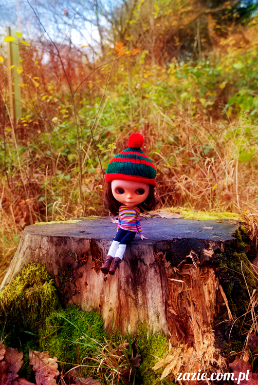 lalka Blythe doll Orka custom by Zazie, South Wales, Brecon Beacon, Gwaun Hepste