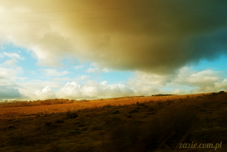 lalka Blythe doll Orka custom by Zazie, South Wales, Brecon Beacon, Gwaun Hepste
