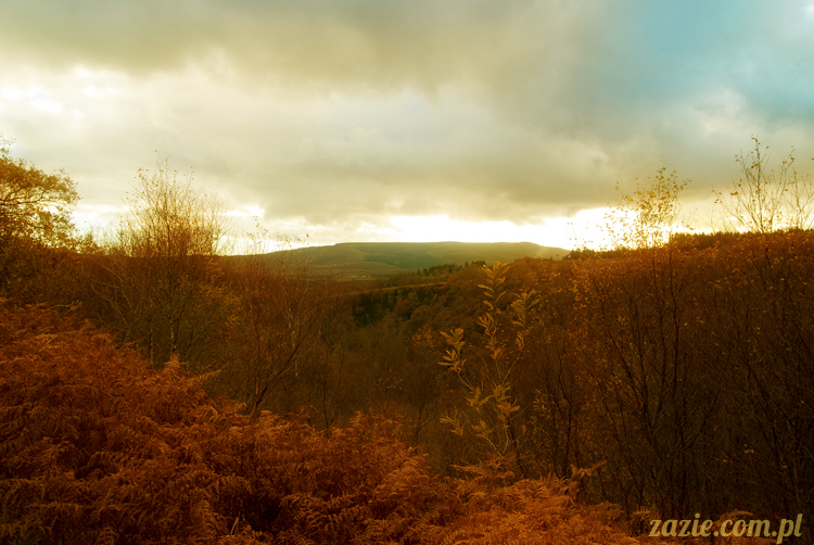 lalka Blythe doll Orka custom by Zazie, South Wales, Brecon Beacon, Gwaun Hepste
