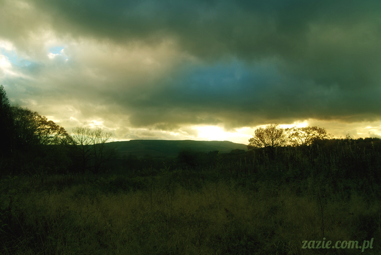 lalka Blythe doll Orka custom by Zazie, South Wales, Brecon Beacon, Gwaun Hepste
