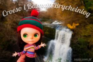 Dw i heb dy weld ti ers talwn! || Long time no see!