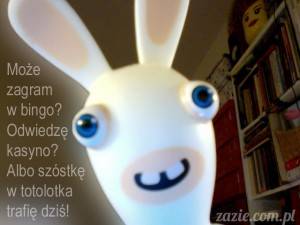 mielone kotlety z tłuczonego szkła