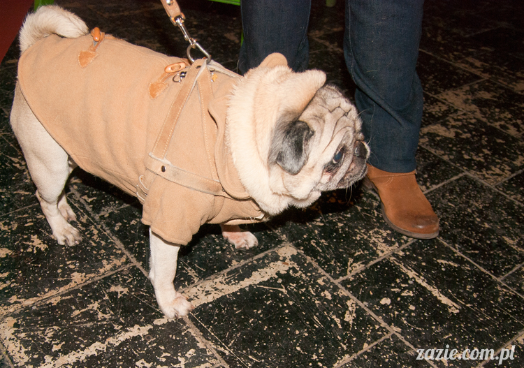 Przetwory 2012 design Warszawa, 7 edycja Przetworów, Rezydencja Twórczego Recyclingu Przetwory 2012 design Warszawa, 7 edycja Przetworów, Rezydencja Twórczego Recyclingu