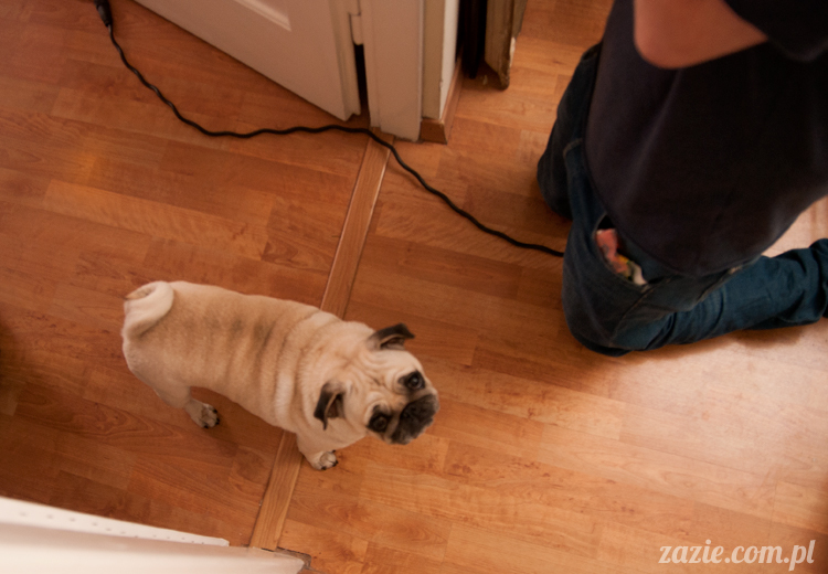 Zazie i lalki Blythe, Takara Neo Blythe Doll, customizowane lalki Blythe Zazie