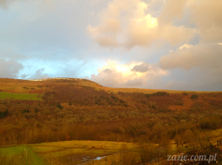 mountain_ash_south_wales