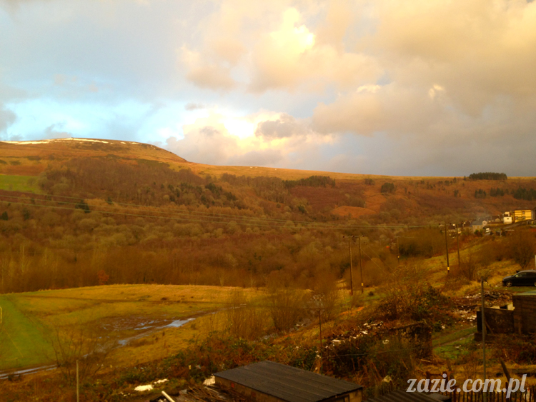 mountain_ash_south_wales