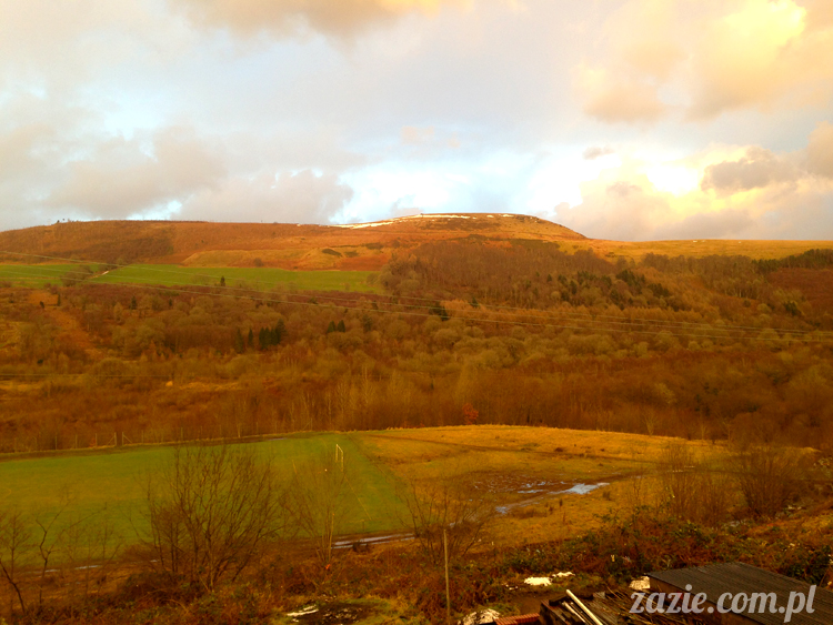 mountain_ash_south_wales