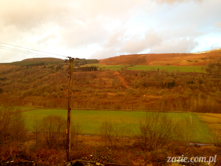 mountain_ash_south_wales