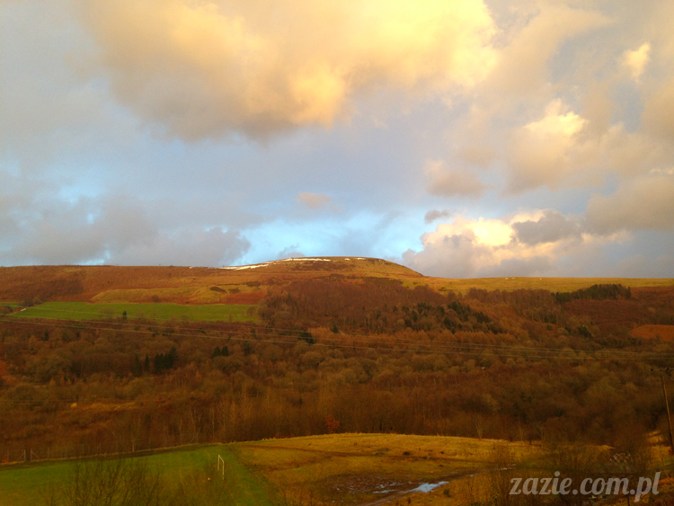 mountain_ash_south_wales