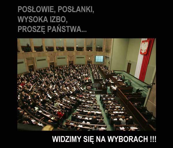wybory