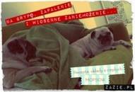 zapalenie, osłabienie i wiosenne zaniemożenie