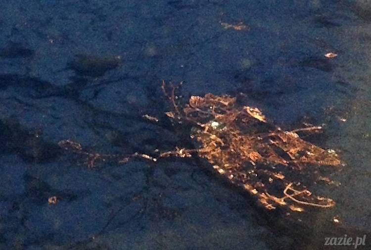 austria salzburg filzmoos dachstein wyjazd na narty marzec 2013