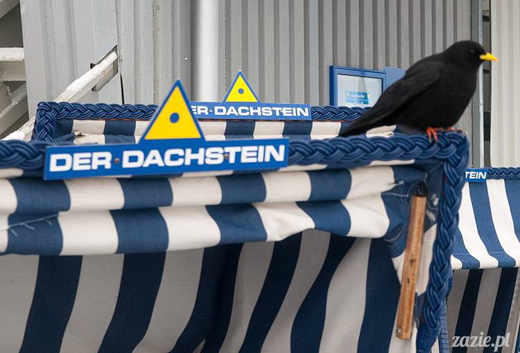 Austria Salzburg Dachstein Filzmoos Wyjazd na narty marzec 2013