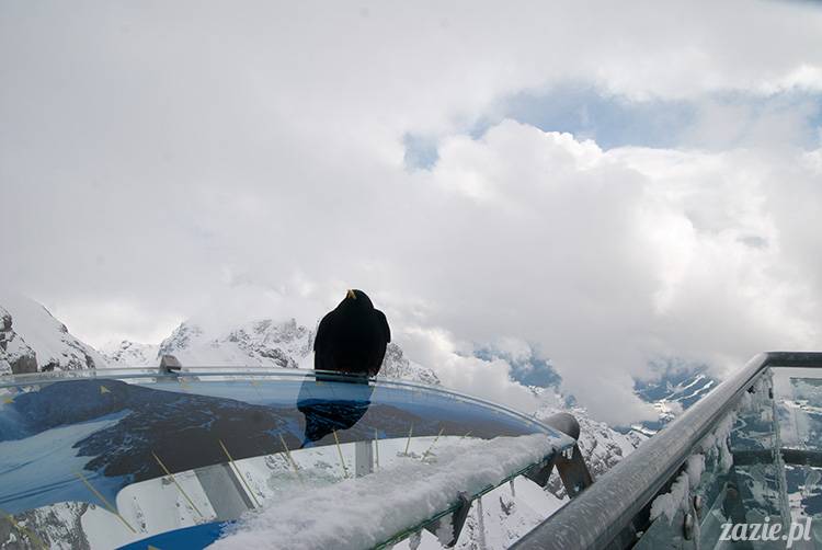 Austria Salzburg Dachstein Filzmoos Wyjazd na narty marzec 2013