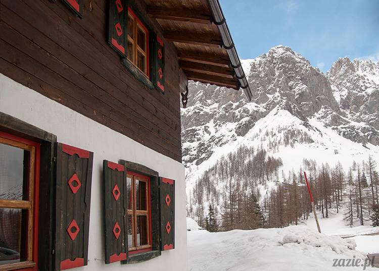 lalka Blythe doll Simply Chocolate & Vanilla custom ooak by Zazie Oh!Zazie, winter time play on the snow ski mountains 